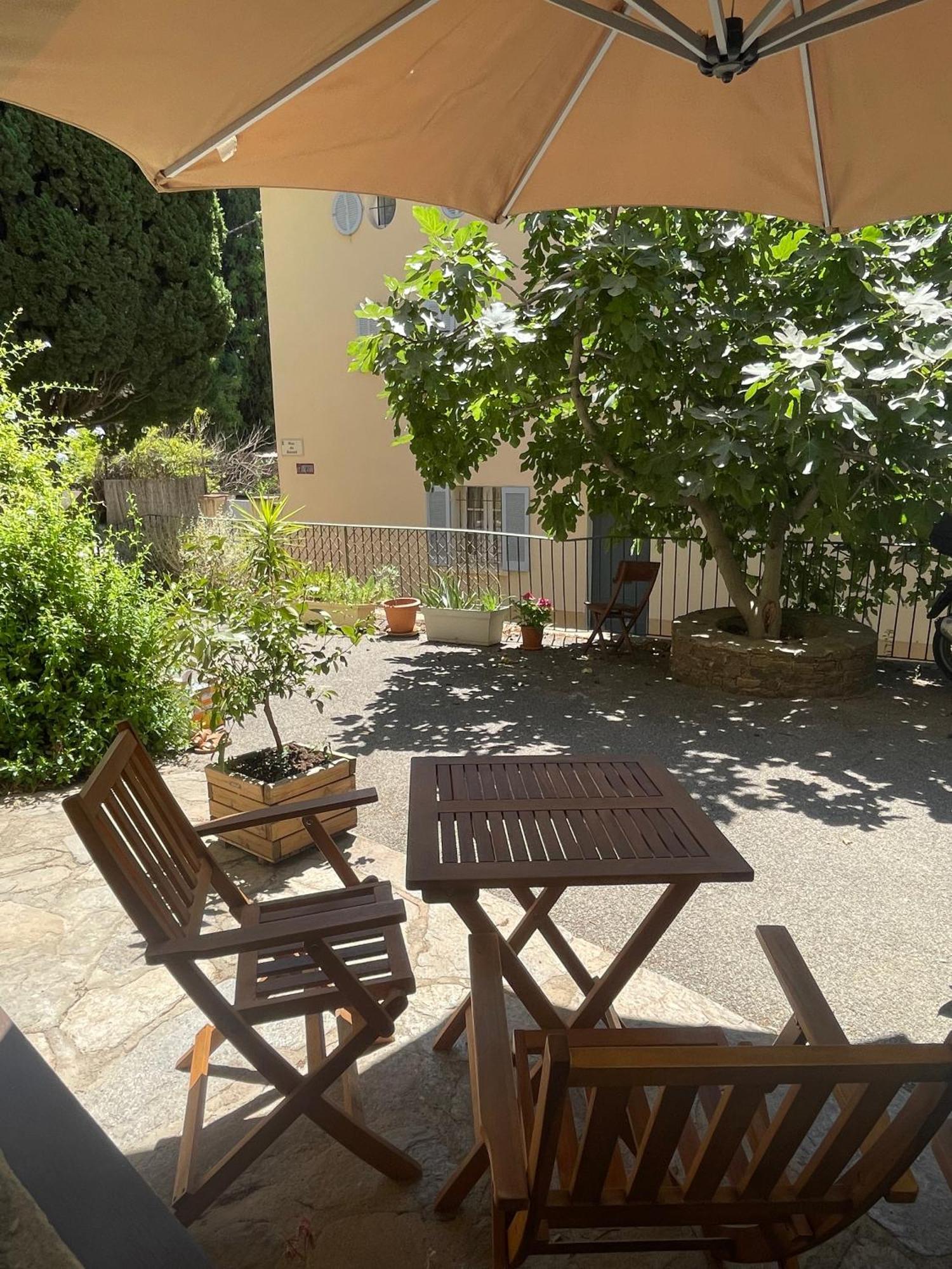Cosy Studio - Place Du Figuier Bormes-les-Mimosas Exterior photo